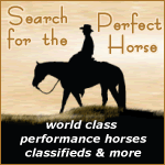 Visit Search for the Perfect Horse