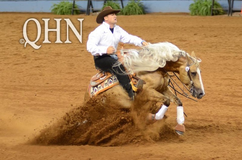 Central New York Reining Horse Association Platinum Vintage at Perfect Horse Auctions