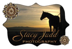 Stacy Judd Photography