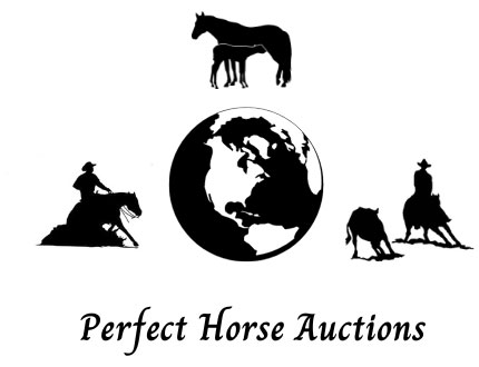 Perfect Horse Auctions