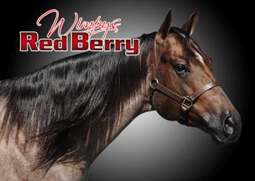Wimpy&#039;s Red Berry