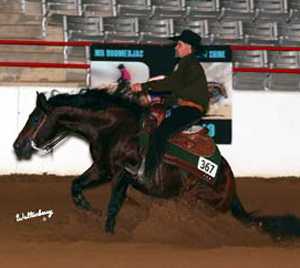 Its Cowboy Whiz