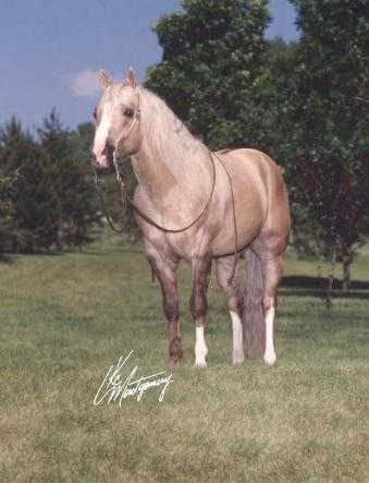 Jacspin