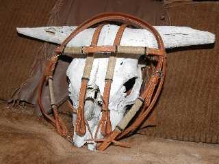 Continental Saddlery Bridle &amp; Reins #11
