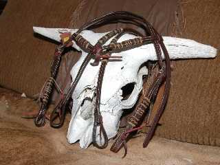 Continental Saddlery Bridle &amp; Reins #8-3