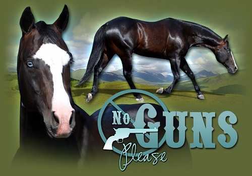 No Guns Please - Chic Please x Katie Gun LTE $25,000