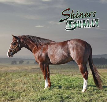 Shiners Dually