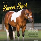 The Sweet Spot