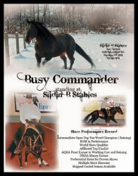 Busy Commander