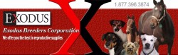 Exodus Breeders Corp