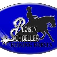 2 Days of Reining Lessons with Robin Schoeller