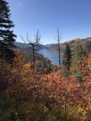 Trail Ride - Half Day in San Juan Mountains