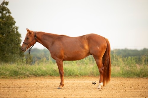 Left Side View