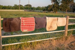 English Saddle Pads