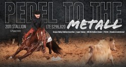 Pedal to the Metall